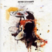 Review of Peter Doherty's album 'Grace/Wastelands'