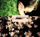 Gemma hayes 'Night on my Side'