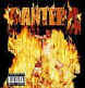 Album Cover - Pantera's "Reinventing the Steel'