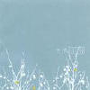 The Shins 'Oh Inverted World'