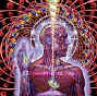 Tool 'Lateralus'