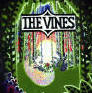 Click for a review of the Vines album 'Highly Evolved'