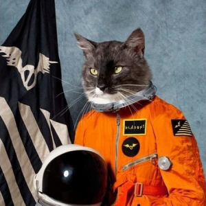The Klaxons - Surfing the Void