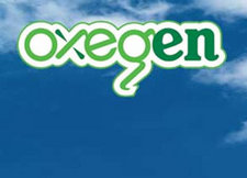 Oxegen 2008, festival review 