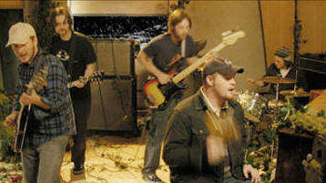 The Bees band