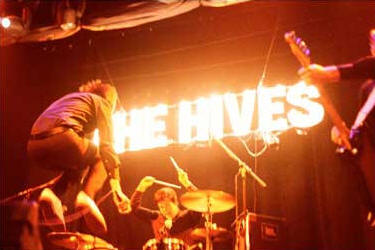 The Hives