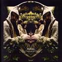 Midlake 'The Courage of Others'