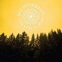 The Decemberists 'The King is Dead'