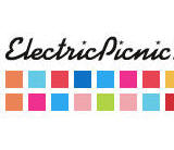 Electric Picnic 2008